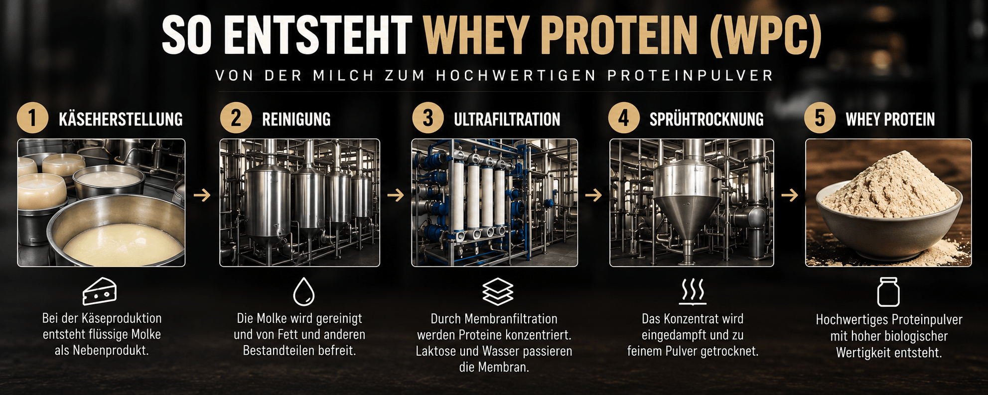 Whey Protein Prozess