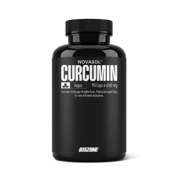 Big Zone NovaSol® Curcumin 90 Kapseln Bigzone