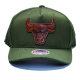Mitchell & Ness Pack Snapback Cap Olive Bulls
