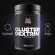 Gym King Cluster Dextrin 1kg Dose