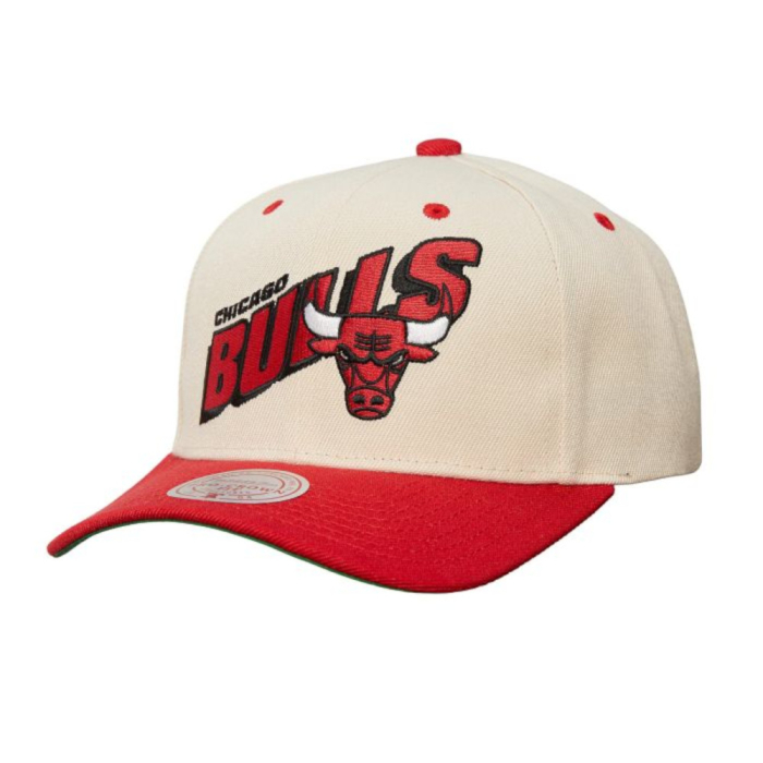 Mitchell & Ness NBA Retro Type Pro Snapback Chicago Bulls