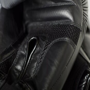 Paffen Sport "Black Logo" Boxhandschuhe für das Sparring 16OZ