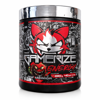 Gamerize Energy 280g Booster Dose Watermelon MHD 10/25