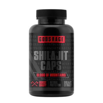 Godsrage Shilajit 90 Kapseln