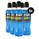 ESN HydroCharge Sports Drink 6 x 500ml Flasche