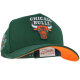 Mitchell & Ness NBA Green Orange Pro Crown Snapback Cap