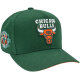 Mitchell & Ness NBA Green Orange Pro Crown Snapback Cap