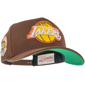Mitchell & Ness NBA Brown Green Pro Crown Los Angeles...