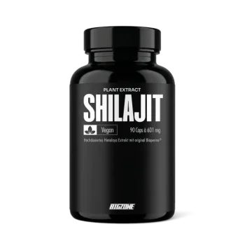 Big Zone Shilajit 90 Kapseln Dose